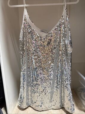 Silver Sequin Camisole Sheath dress